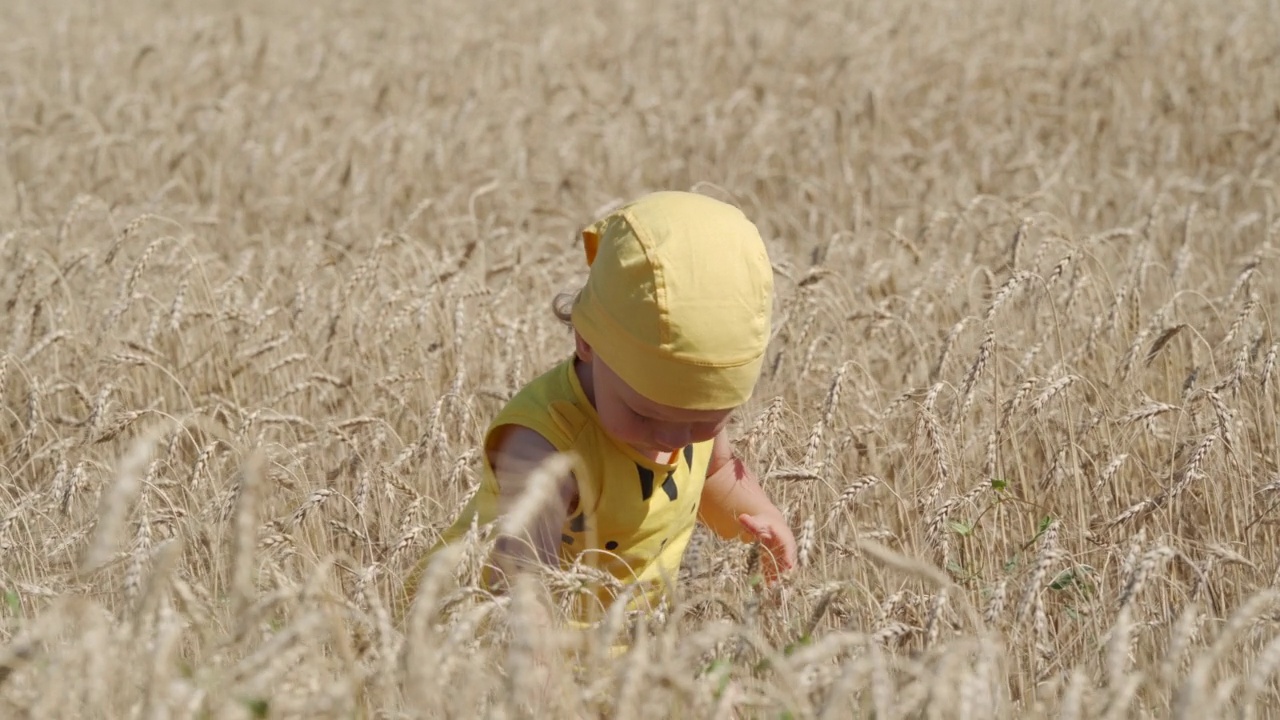 阳光明媚的夏日里，小男孩站在麦田里开心地微笑着，1.5岁的蹒跚学步的孩子穿着黄色的衣服在麦田里玩耍。视频下载