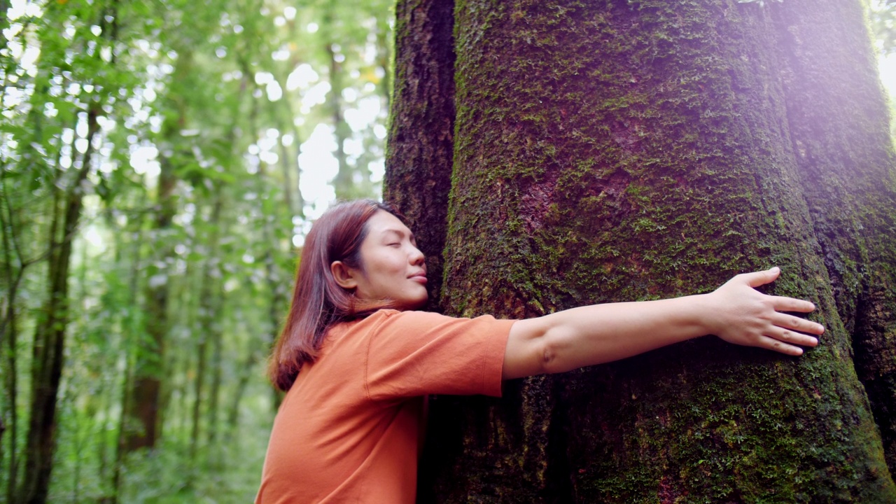 女人抱着一棵美丽的大树视频素材