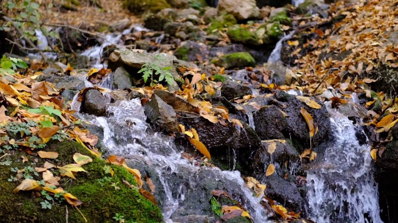 秋天森林里美丽的瀑布视频素材