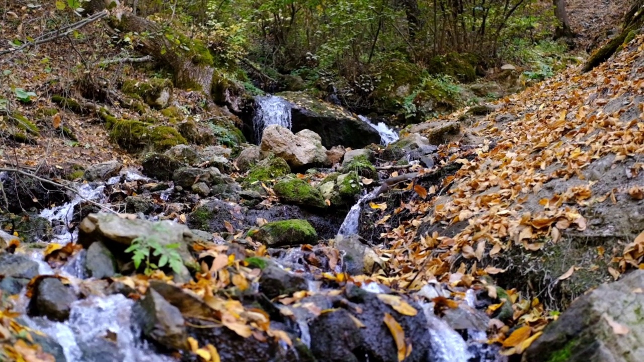秋天森林里美丽的瀑布视频素材