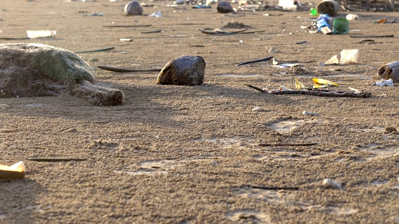 海滩上有塑料垃圾，空瓶子和死鱼视频素材