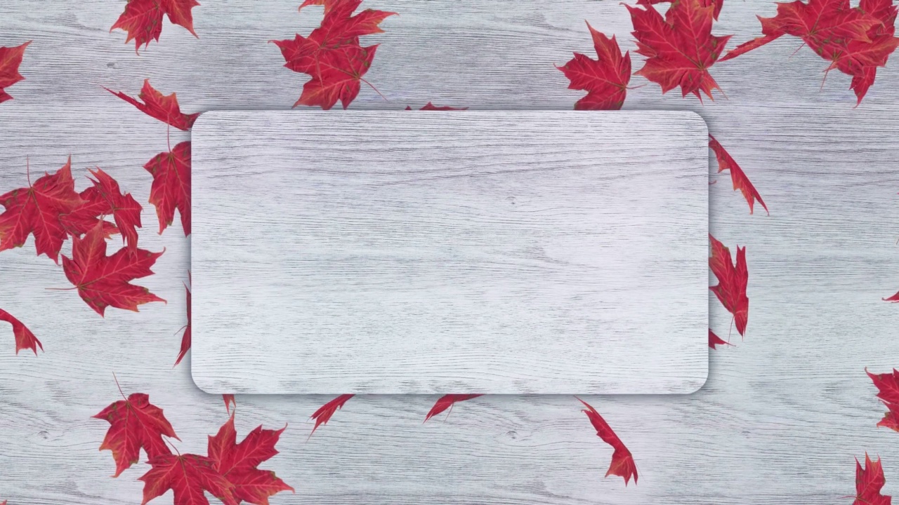 秋天飘落的枫叶在复制空间白木背景视频素材