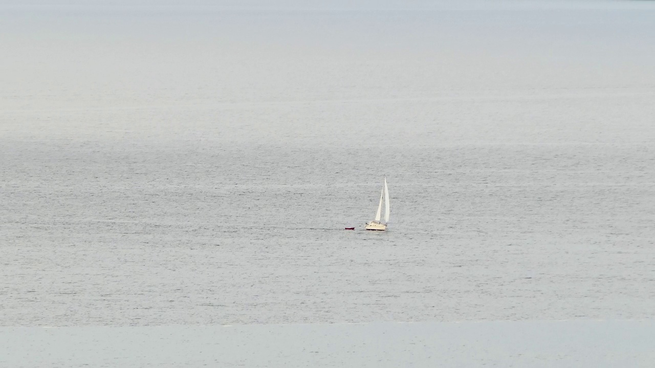 开阔水域中的小帆船迎风而行视频下载