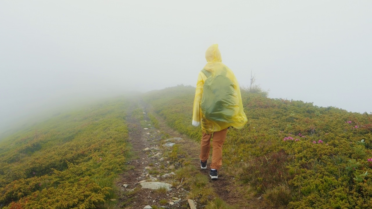 背面的妇女徒步旅行者探索自然在一个雾气多雨的景观。视频素材