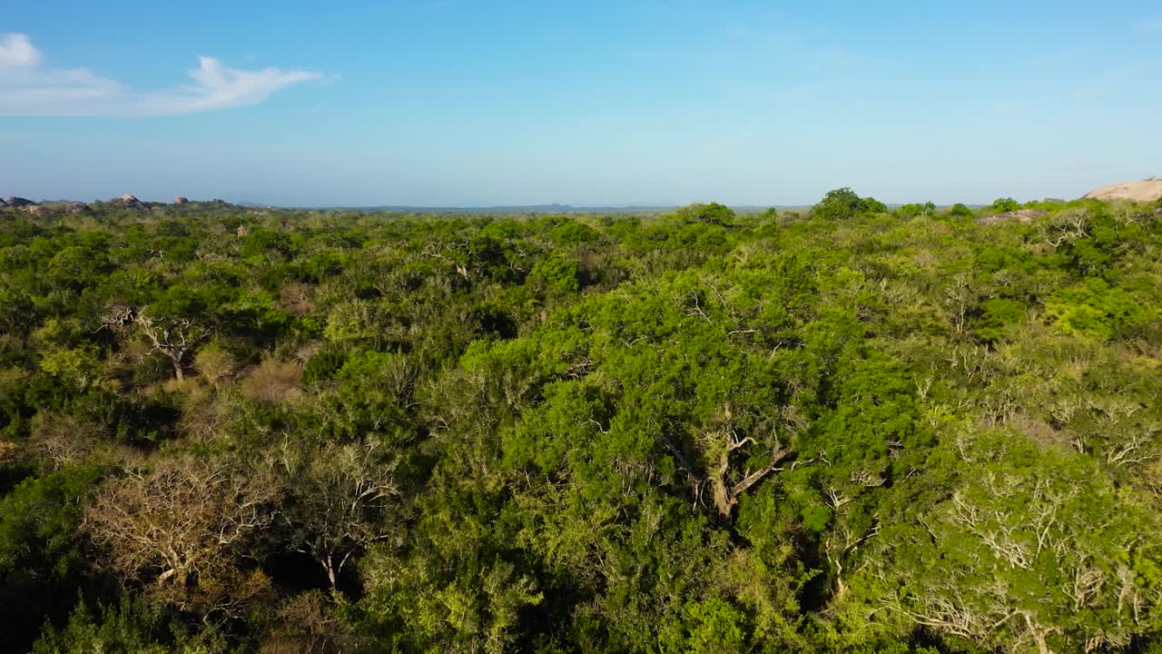 斯里兰卡热带景观的鸟瞰图。视频素材