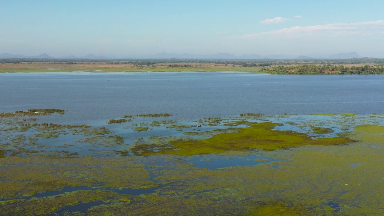 斯里兰卡的一个湖。Arugam泻湖。视频素材