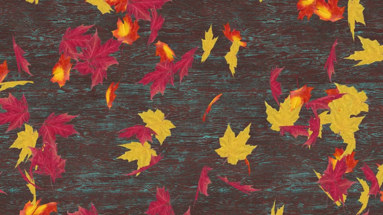 秋天的枫叶落在深色的旧木背景上视频素材