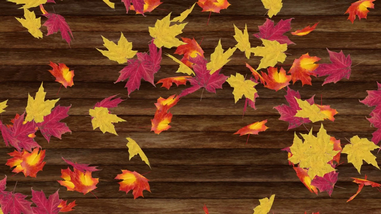 秋天的枫叶落在深色的木板上视频素材