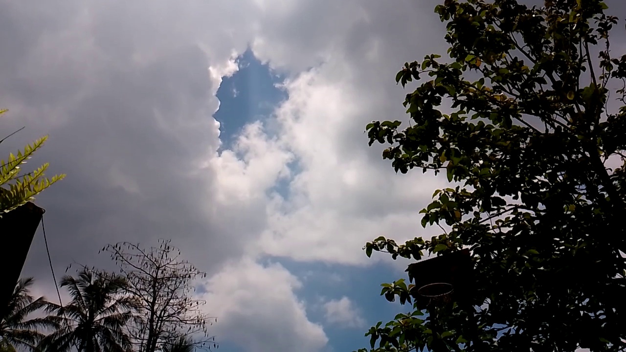 阳光明媚的日子里，云在树丛中移动视频素材