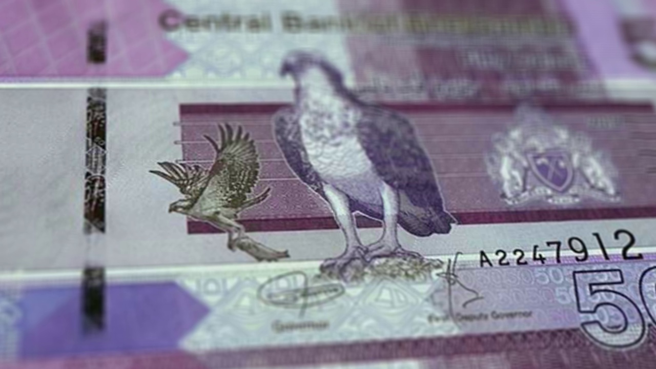 纸币的冈比亚达拉西观察和储备方特写跟踪多利拍摄的冈比亚达拉西纸币4k分辨率股票视频视频素材