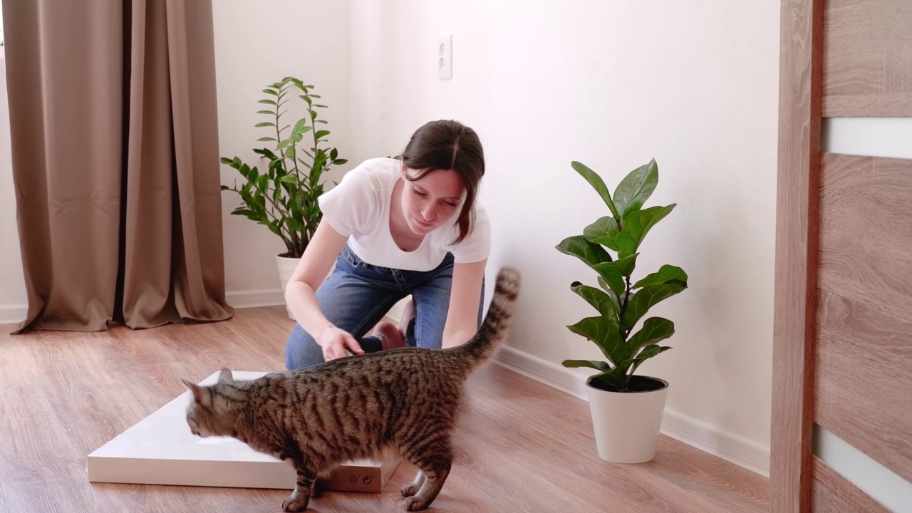 女人在地板上打开一个新的白色咖啡桌，猫走到旁边视频下载