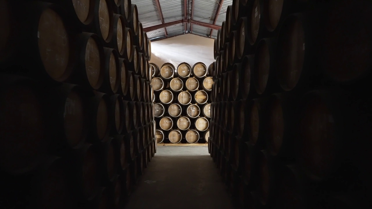 在酒窖里堆放着木制的朗姆酒桶视频素材