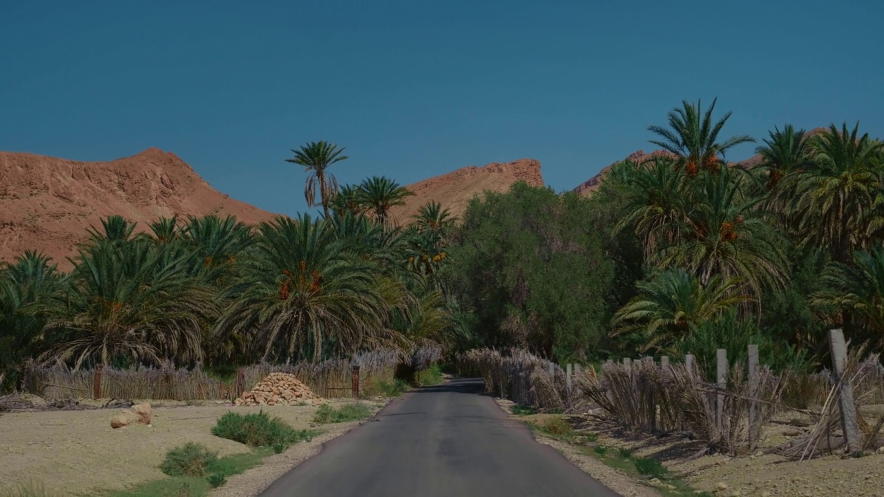 通往切比卡绿洲的入口道路，那里有棕榈树和落基山脉。视频素材