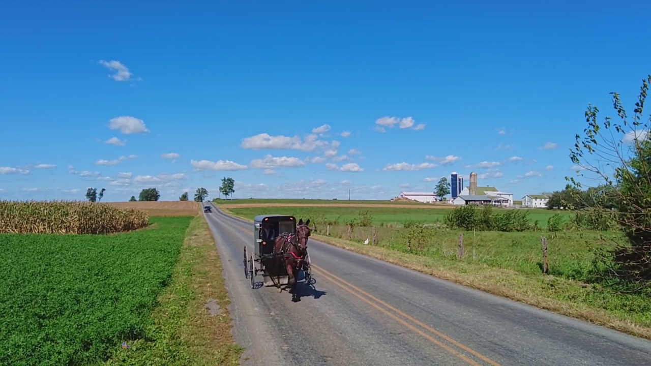 阿米绪人的马和马车在经过农场的乡间小路上慢镜头前进视频素材