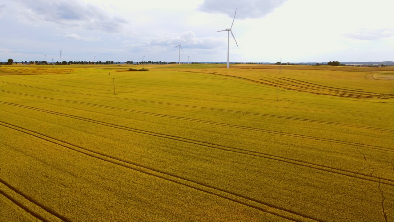 高海拔地区的风力涡轮机和大麦农田视频素材