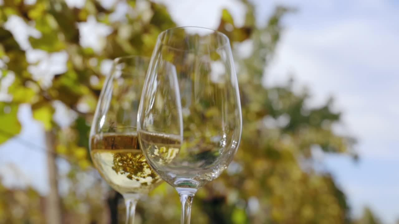 在一个秋日，把白葡萄酒倒进玻璃杯里视频下载