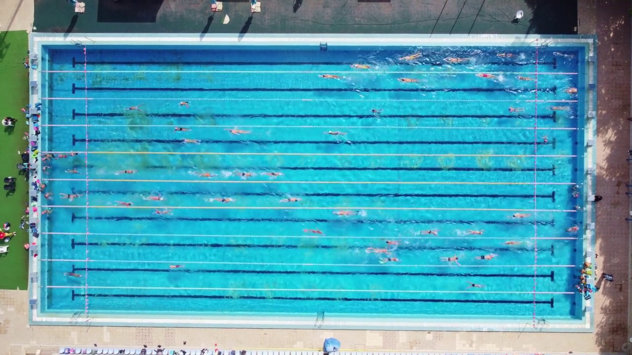 在一个开放的游泳池游泳者的空中自上而下的视图视频下载
