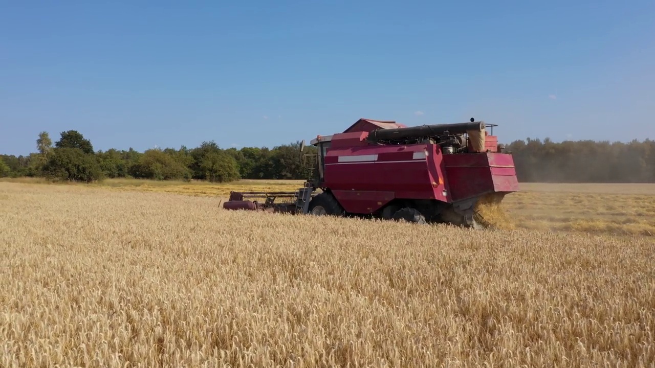风景如画的乡村风景收割机在田里收割小麦视频下载