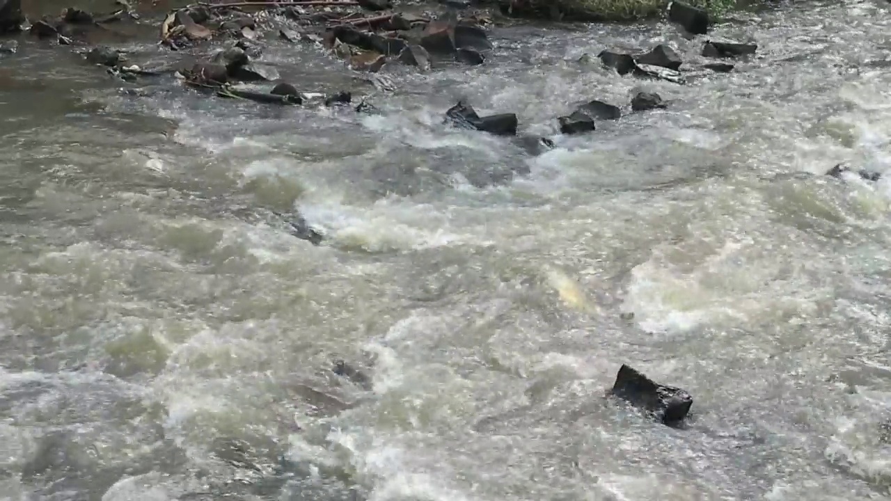 有许多天然岩石的河流水流湍急视频素材