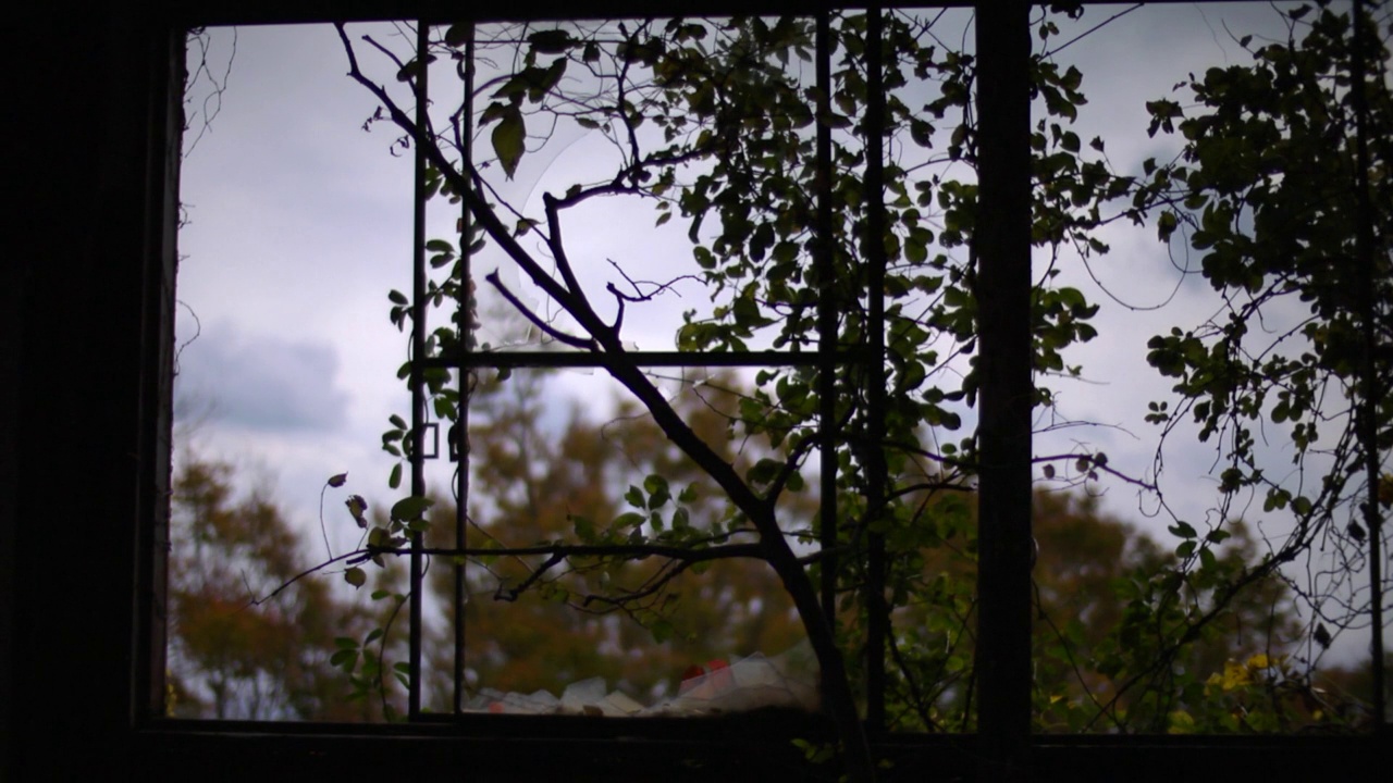 废弃酒店的窗户，兵库，日本视频下载