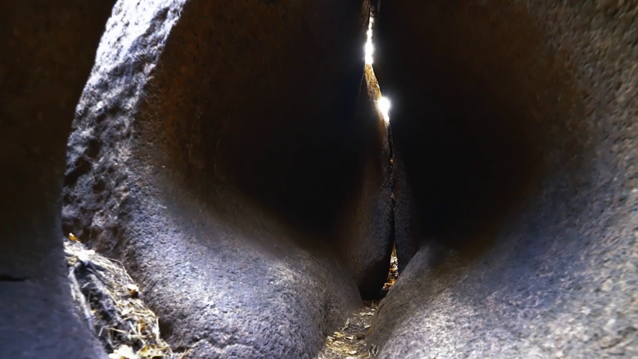 探索古森林洞穴视频下载