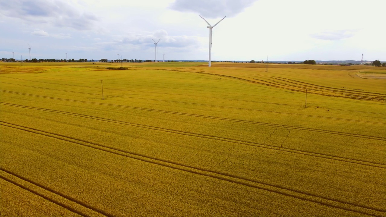 鸟瞰大型农业麦田与磨坊旋转在日落，风力涡轮机产生清洁的可再生能源视频素材