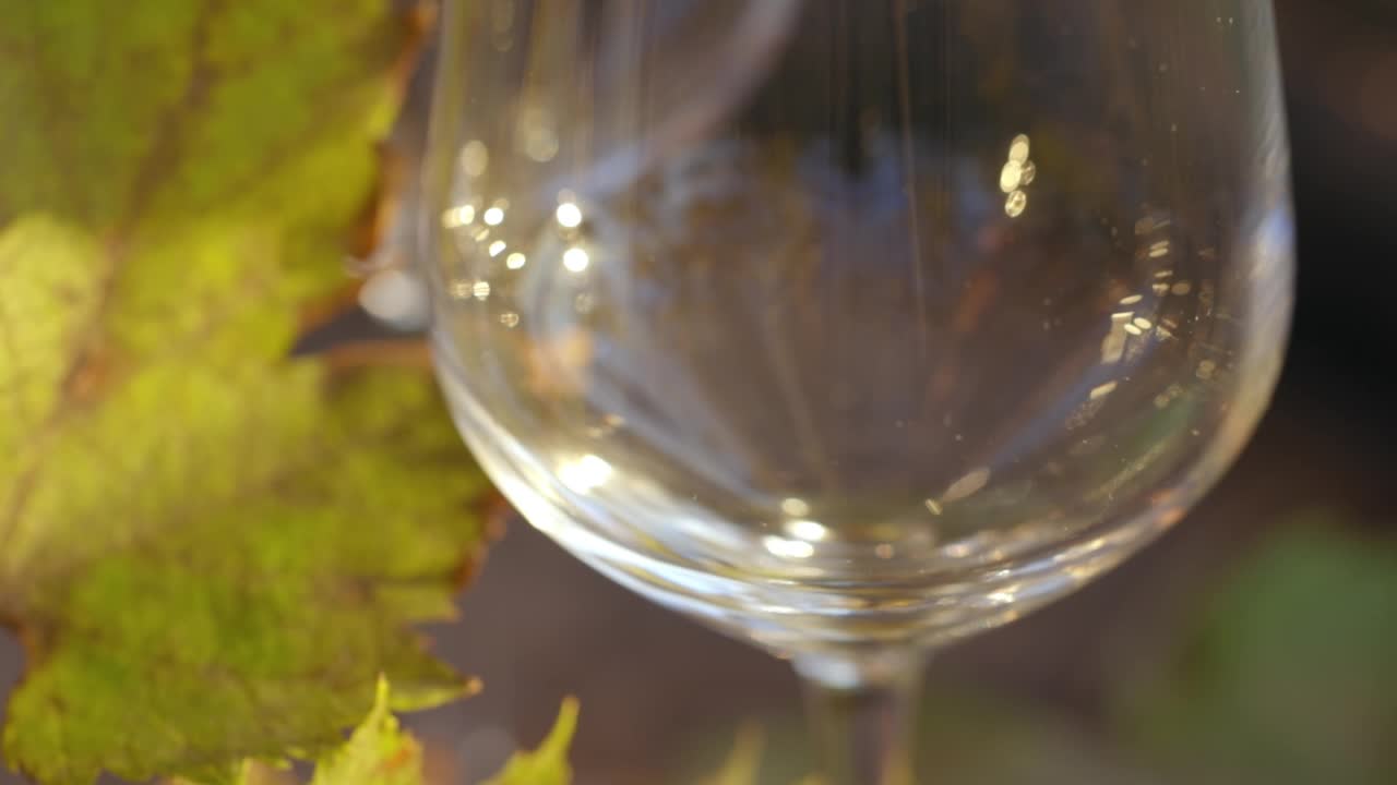 把白葡萄酒倒进玻璃杯的细节视频下载
