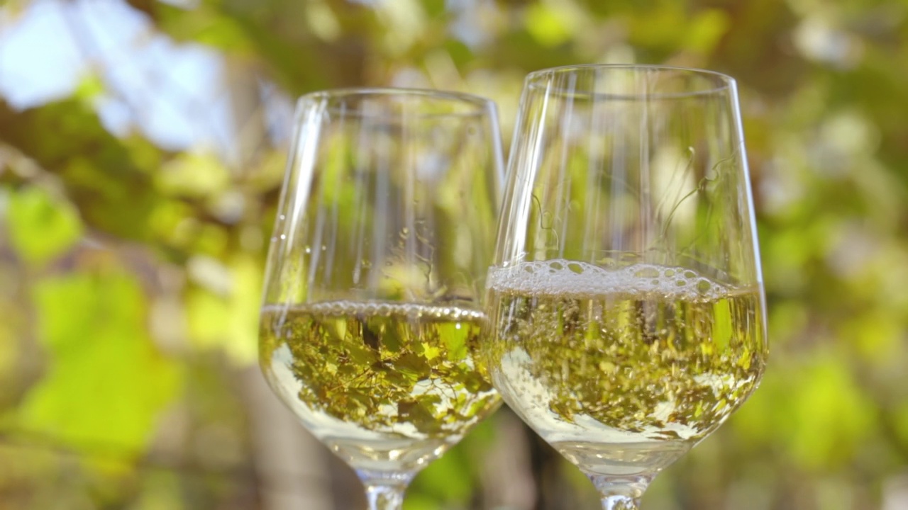 在阳光明媚的日子里，把白葡萄酒倒进玻璃杯里视频素材