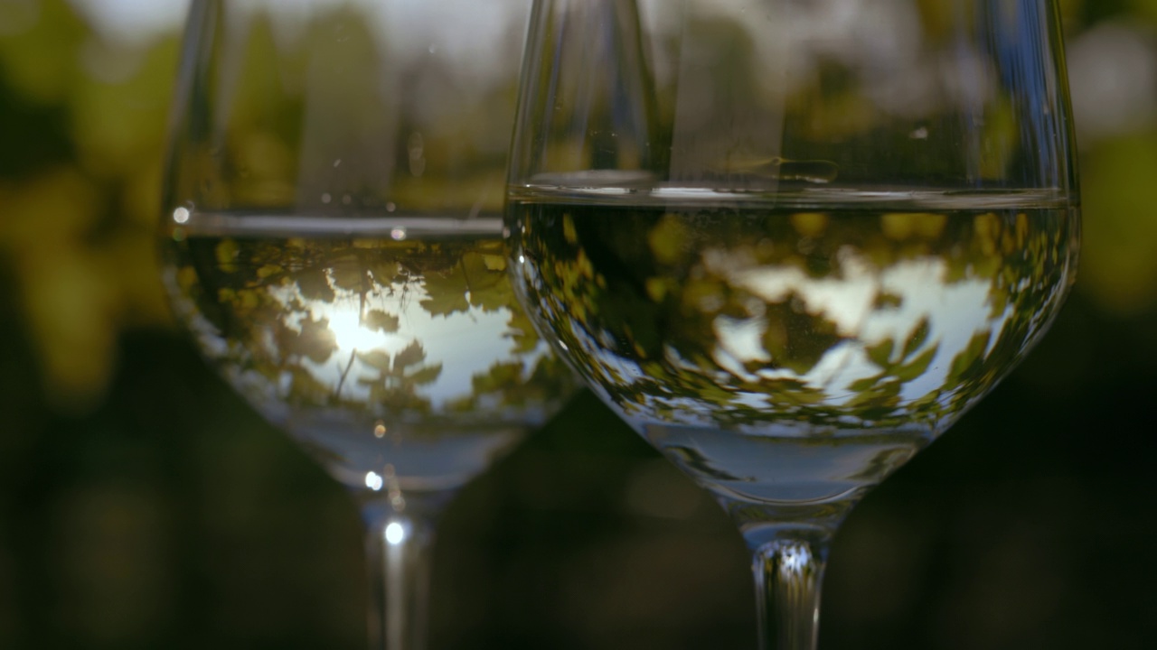 两杯白葡萄酒的特写镜头视频下载