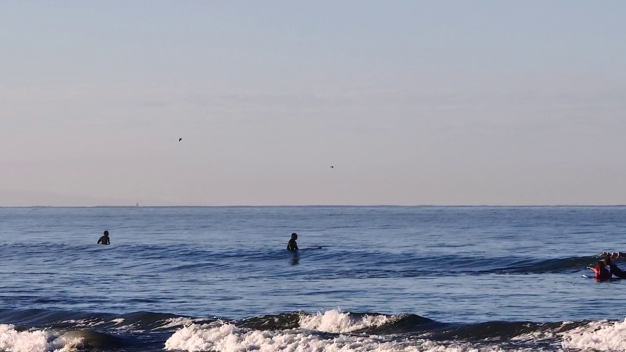 两个冲浪者在清晨划水视频下载