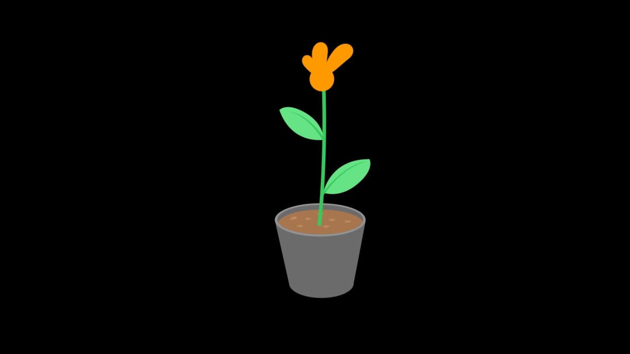 一朵花在花盆里生长和盛开的动画视频下载