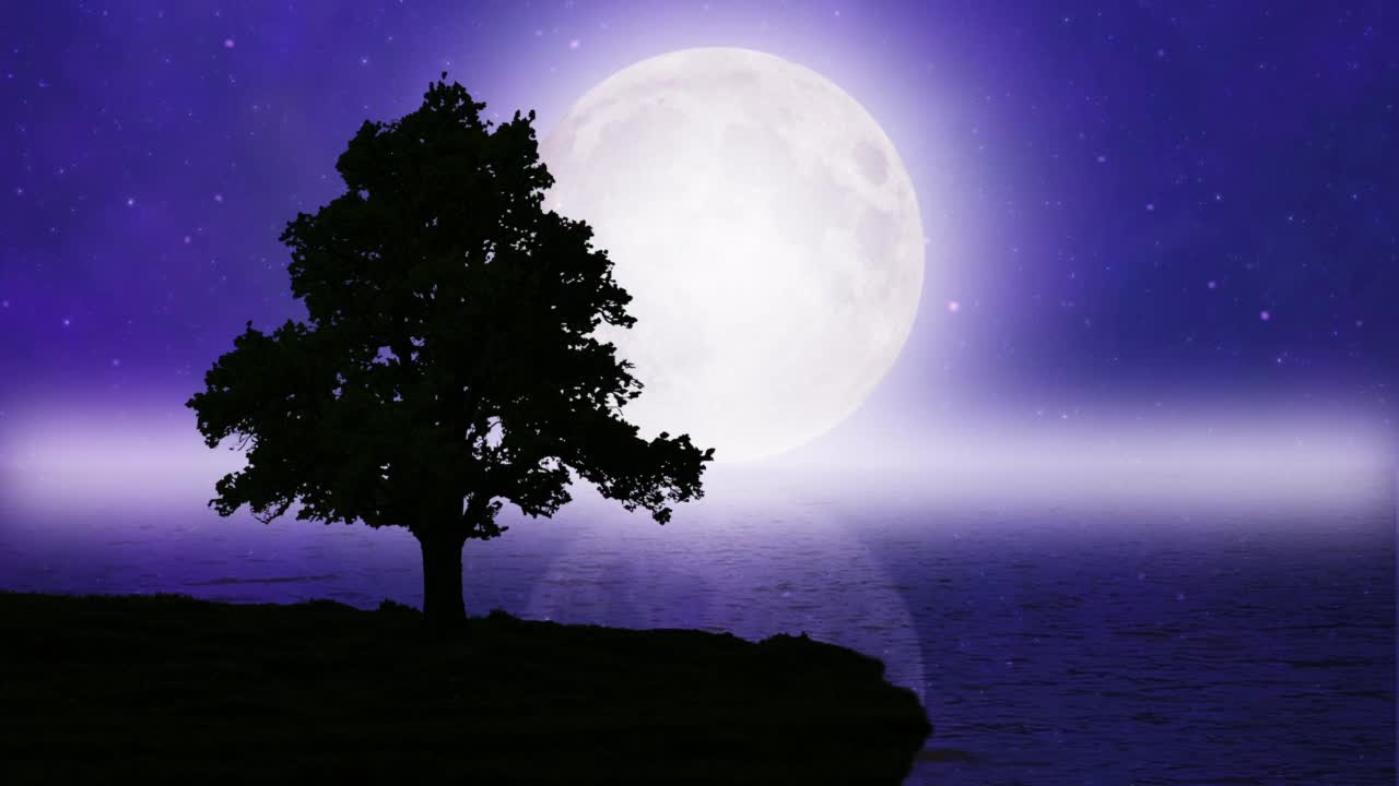 有树和海洋的满月之夜视频素材