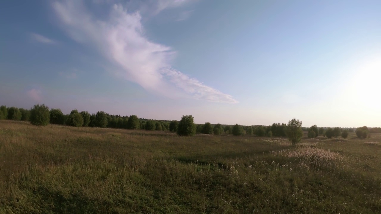 全景FPV飞行在树木繁茂的草地在日落视频素材