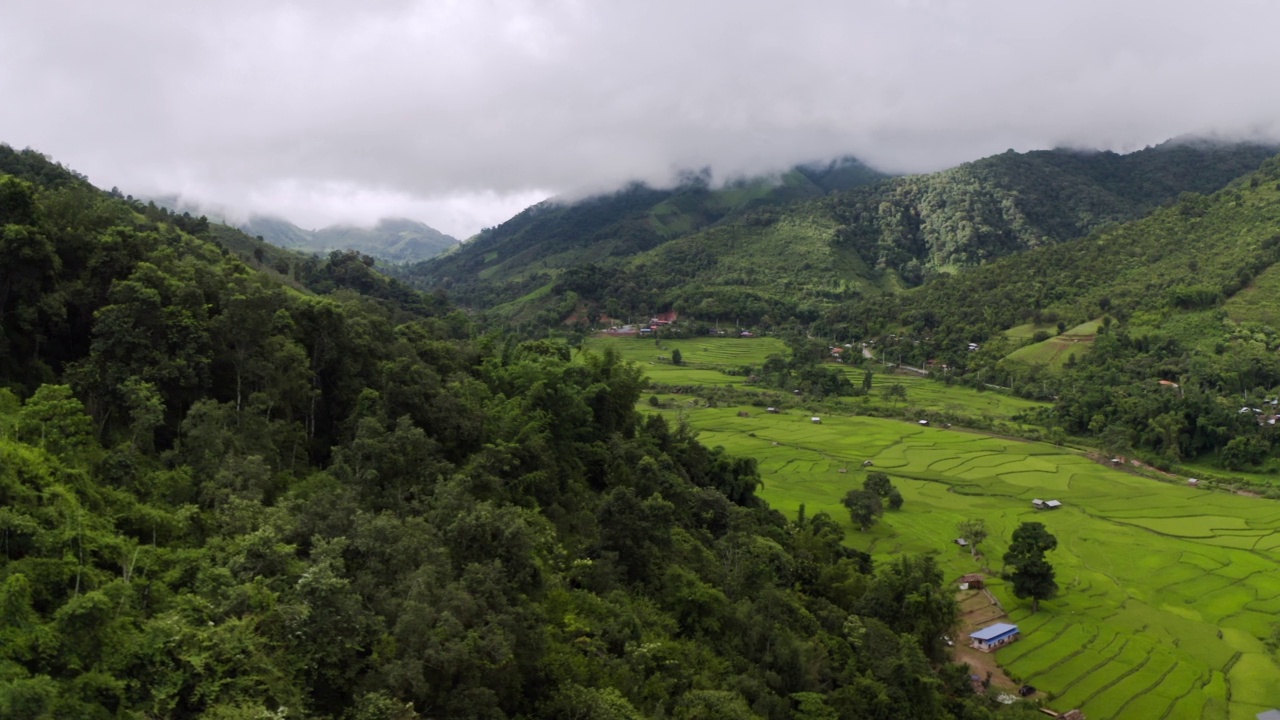 泰国南省Bo Klua村水稻梯田的鸟瞰图视频下载