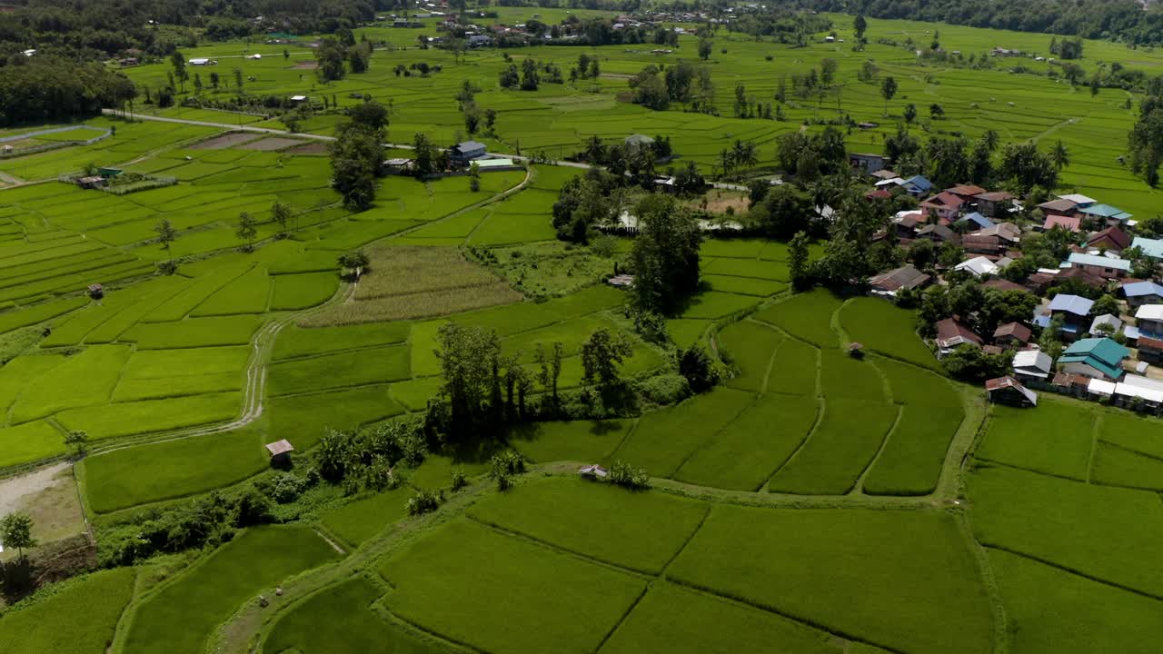 泰国南省Pua村和绿色稻田的鸟瞰图视频下载