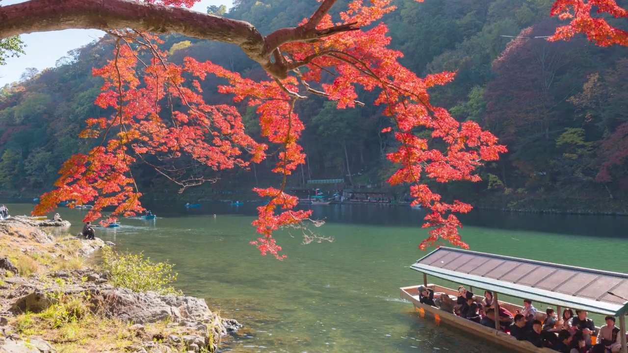 在日本京都的岚山秋叶林中，舟在桂河上的时间流逝。视频素材