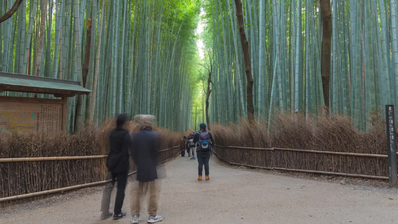 4k时间流逝——岚山竹林的人群。日本京都。视频素材