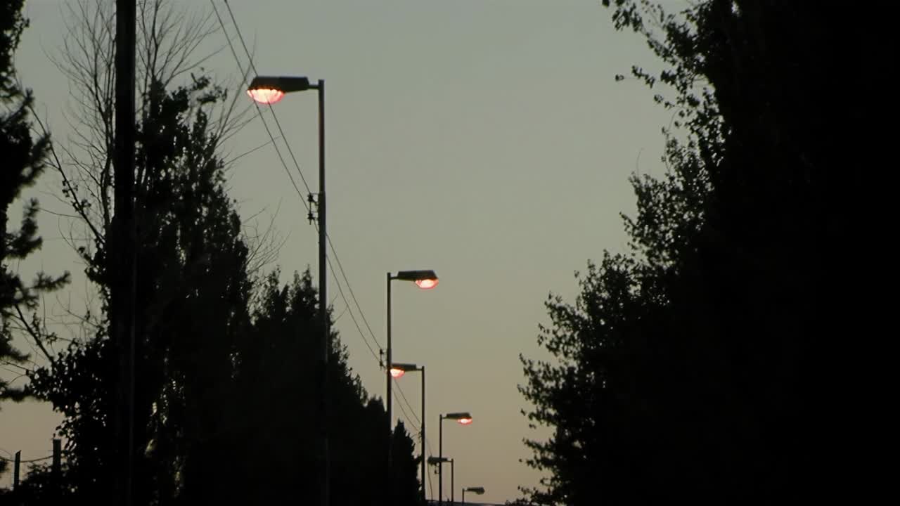 阿根廷内昆省日落时的路灯和树木。视频下载