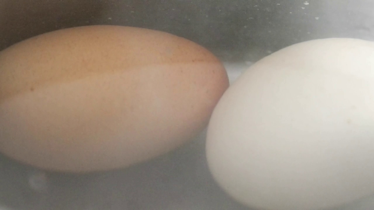 煮熟的鸡蛋视频素材