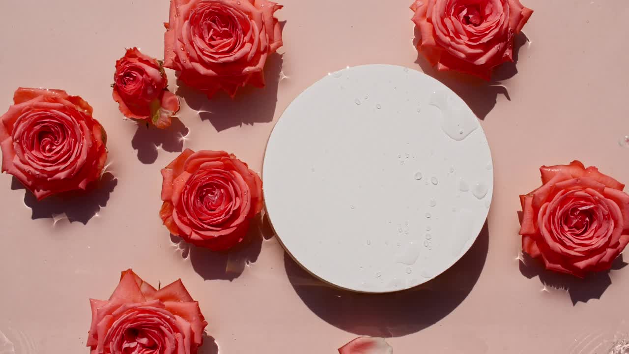空的白色圆讲台上透明的水纹理和玫瑰的花朵。粉色背景上海浪的缓慢运动。阳光和阴影。视频设计，广告，产品视频素材