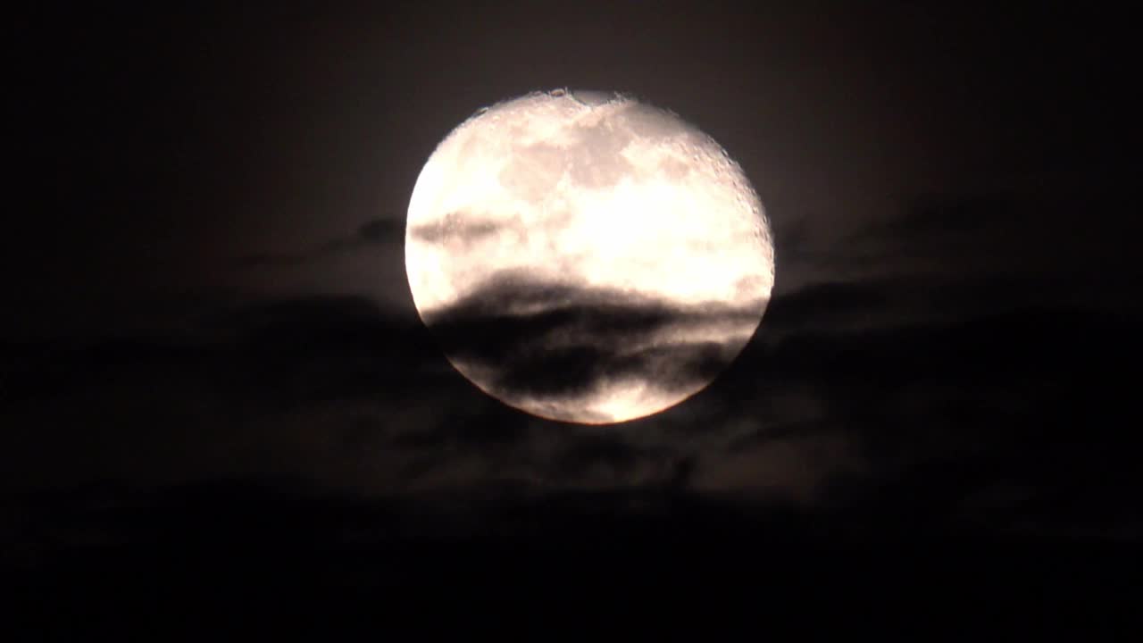 月光万圣节视频素材
