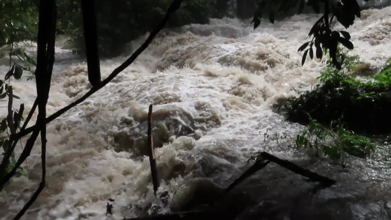 小溪的水在泥泞泛滥的河流视频素材