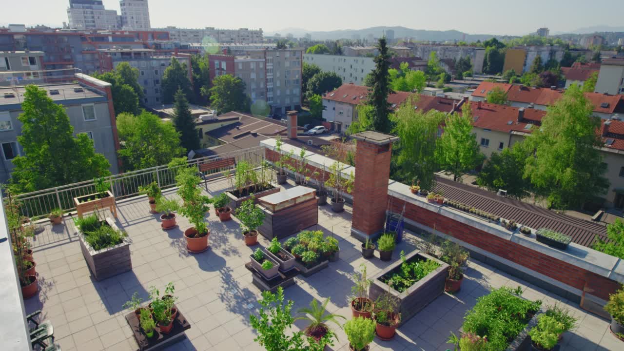 城市中的CS屋顶花园视频下载