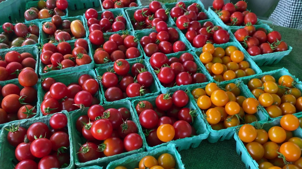 农贸市场里装在容器里的小圆番茄视频素材