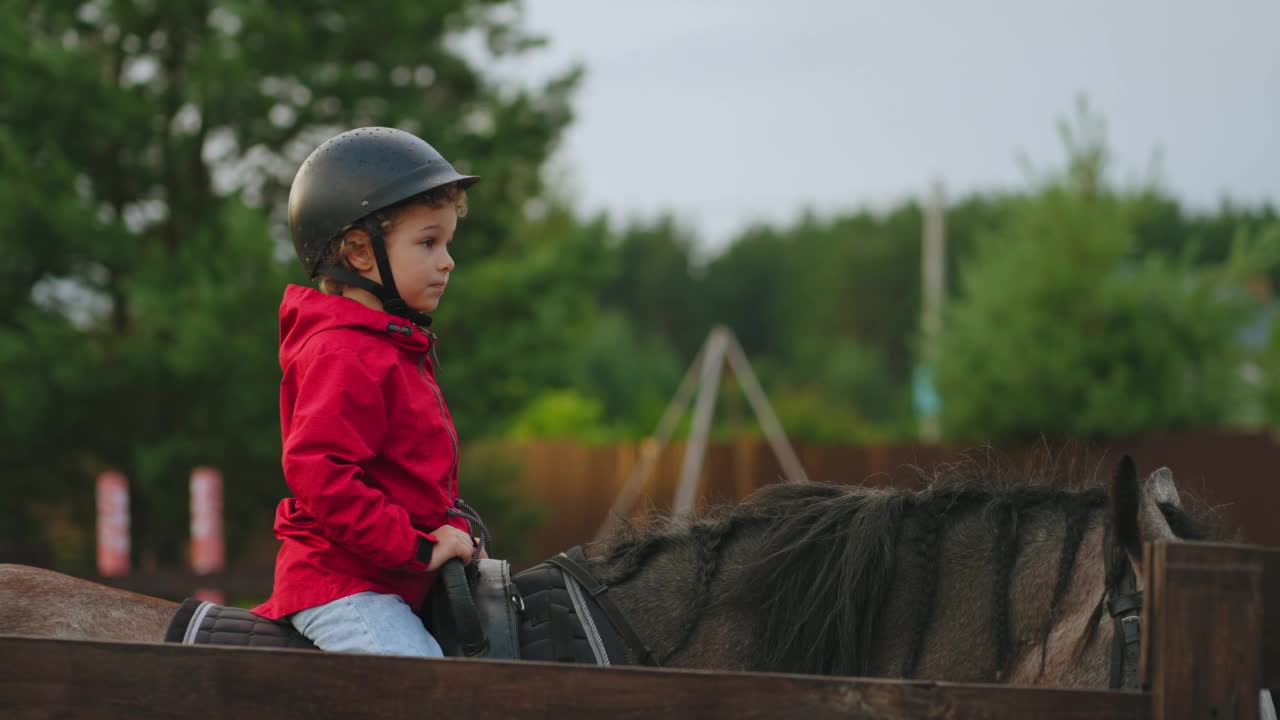 小男孩戴着头盔坐在小马俱乐部的马背上，这是为学步儿童开设的马术课程视频下载