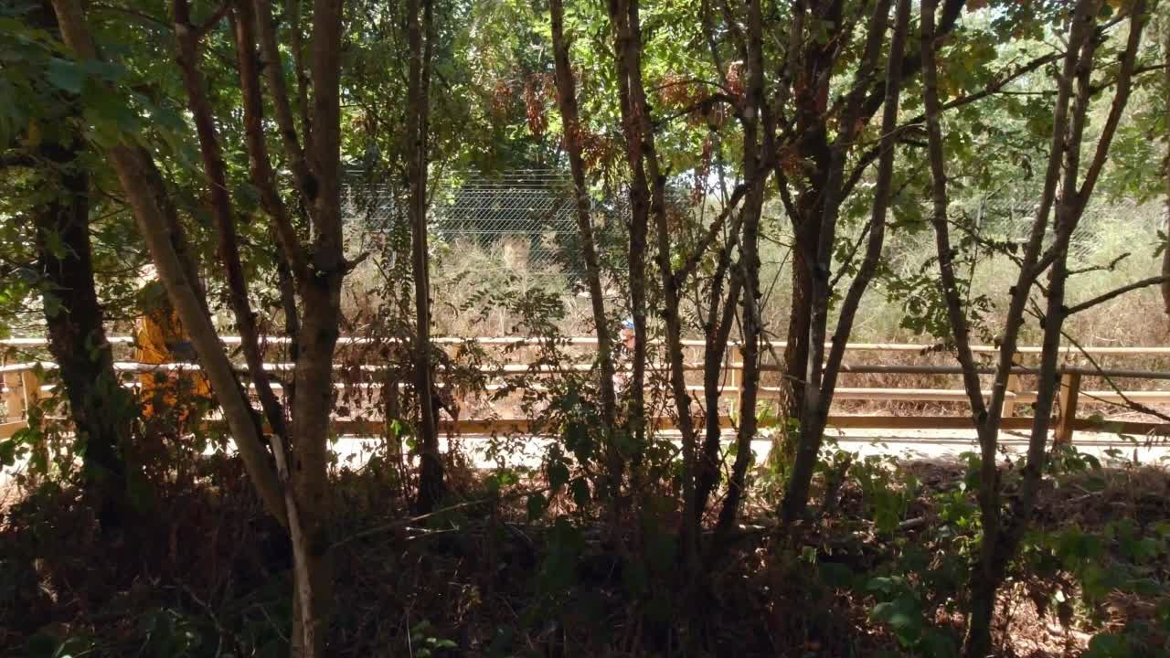 男孩和女人走在森林里慢镜头视频下载