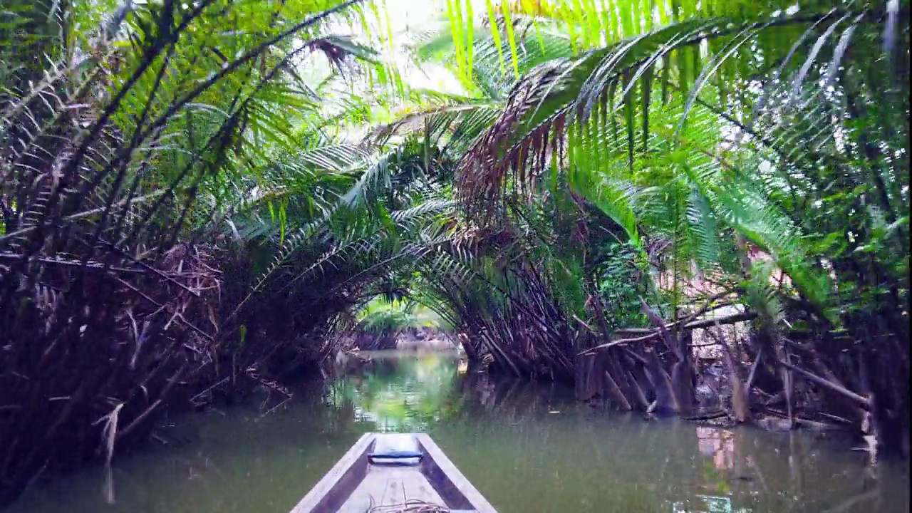 在泰国素叻他尼，在当地的运河中巡航，运河周围有奈帕果或棕榈树的隧道视频下载