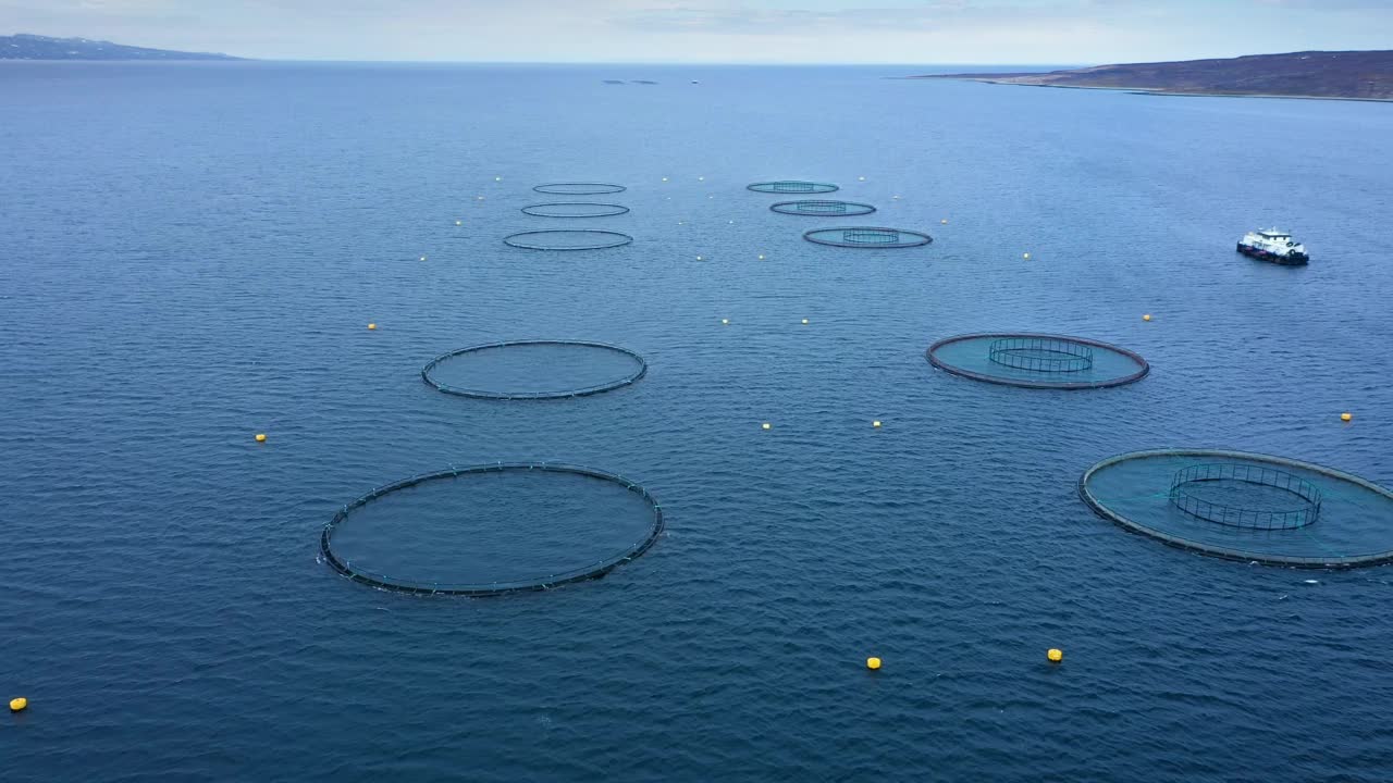 航拍镜头挪威的鲑鱼养殖场视频下载