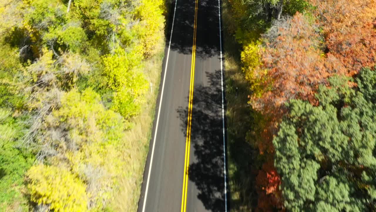 无人机飞越荒芜的山林路，被五彩缤纷的秋林包围视频下载