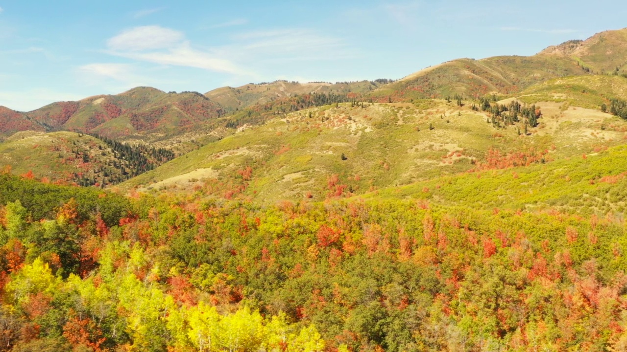 无人机在白天沿着秋天的彩色森林山脊侧向飞行视频下载